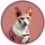 CATCEO