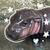 convert