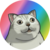 Mur Cat