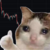 bitcoin (btc) price convert